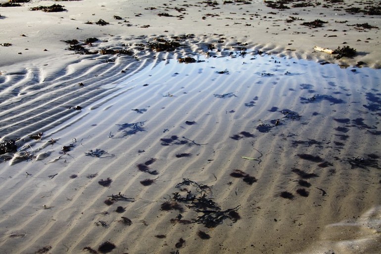 И снова выходные в Юрмале.