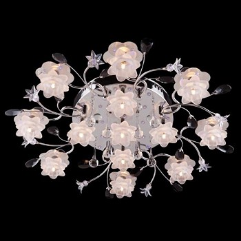 Живое фото люстры