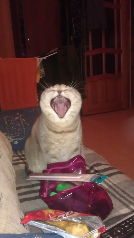 Моя любимая живность..)))