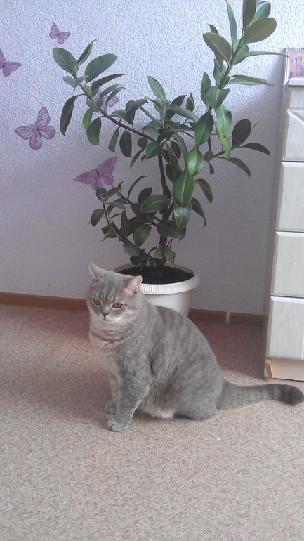 Моя любимая живность..)))