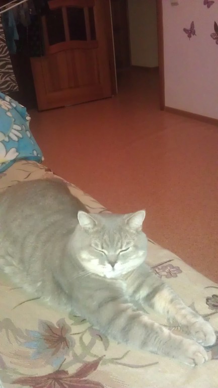 Моя любимая живность..)))