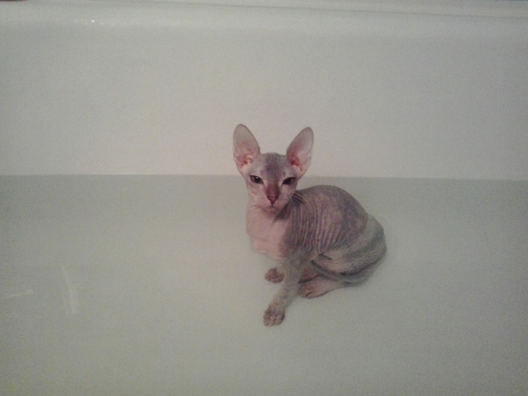 вот наше любимое занятие нашей малышке