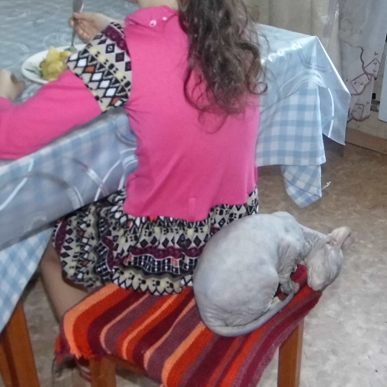 как мы кушаем