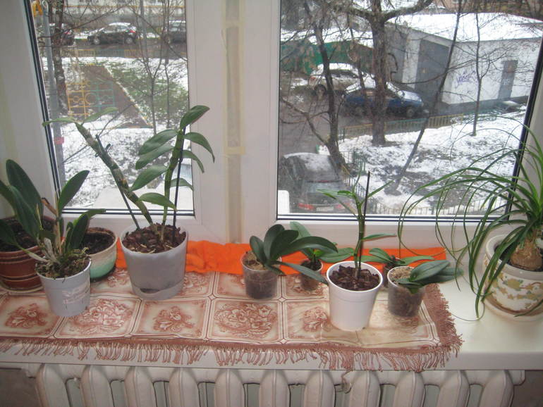 Нужен совет бывалых