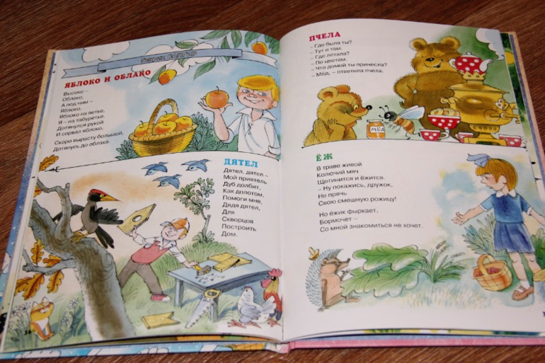 Новое пополнение книг или к дню рождения книги.