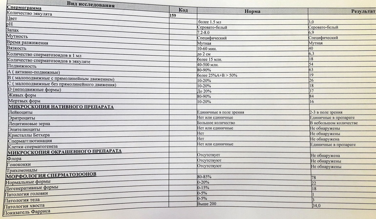 Расшифровка спермограммы – результаты | Клиника «Центр ЭКО-Партус»
