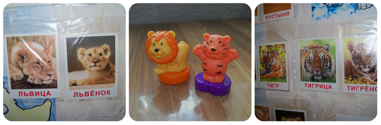 ТН «Животные Африки»