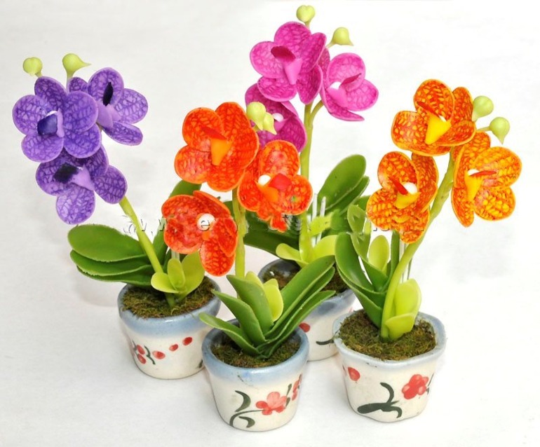 как бы я хотела каждую из таких...