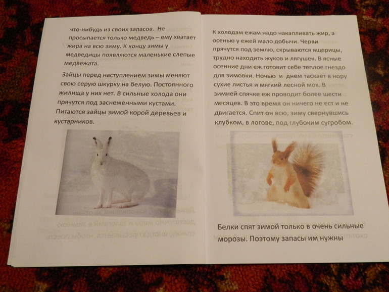 Книжка про зиму