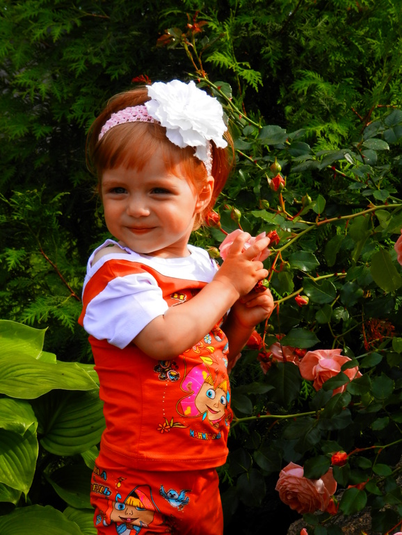 Четыри письма Феечкам