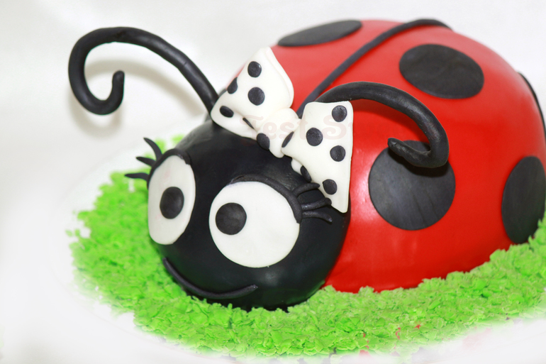 Сладости для Candy bar ladybug