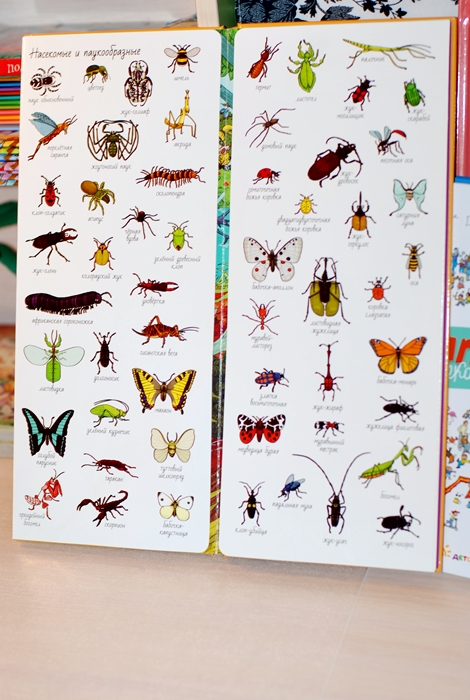 Обзор наших