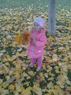 Собирали букет бабушке !!! Или ... осенняя прогулка ( фото с телефона ) ...