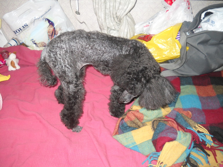 fa002be5cad17471ab988e345c6a9137.jpg