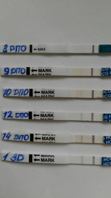 9 день после овуляции. 5 дпо форум ощущения в беременном цикле. 6 день после овуляции тест на беременность. 9 дпо,тест высокочувствительный. 9 дпо ощущения при беременности.