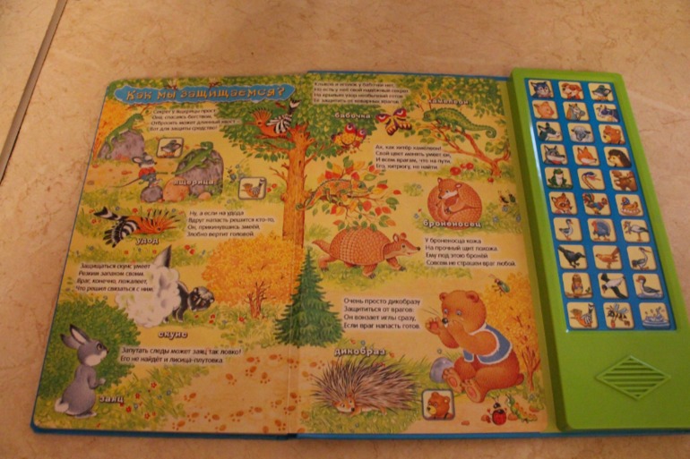 Наши полезные и интересные книжки и другое от 1,5-2,5