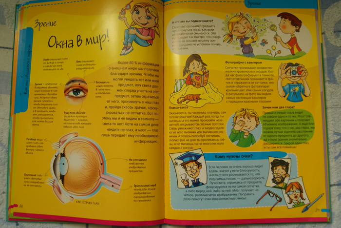 Нескучная Анатомия. Лабиринт