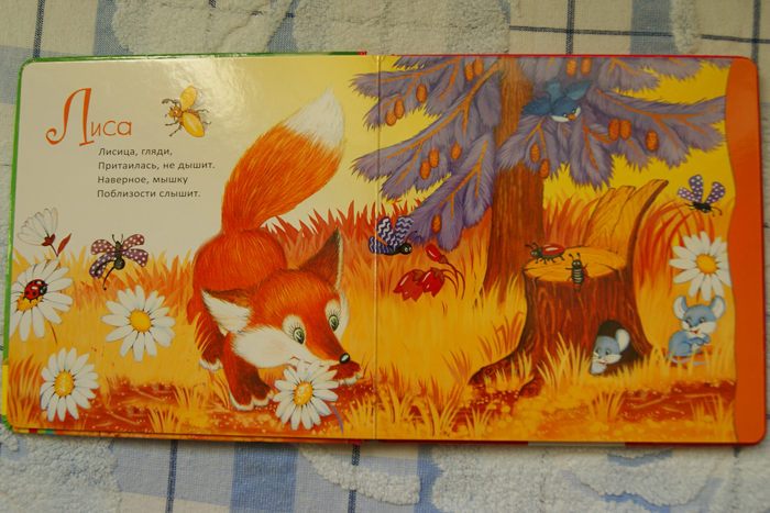 Наши любимые книжки. Много фото.