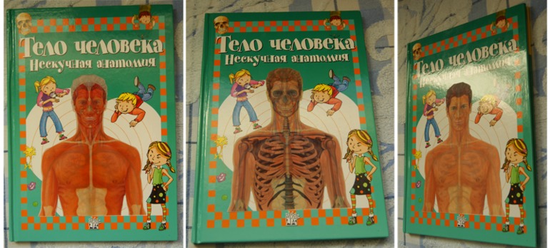 Нескучная Анатомия. Лабиринт