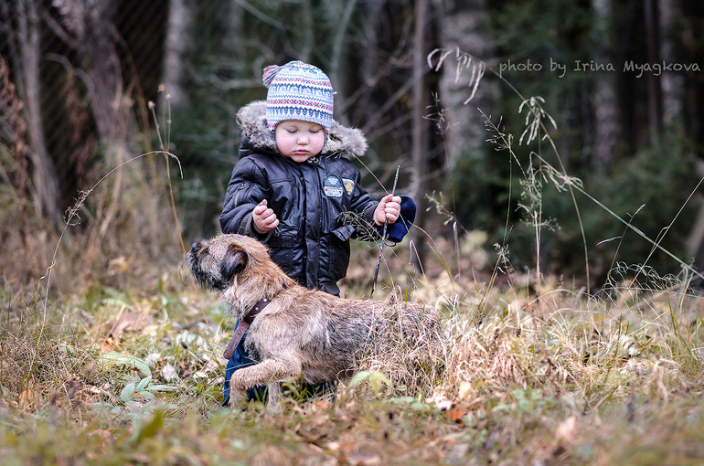 Поздняя осень.