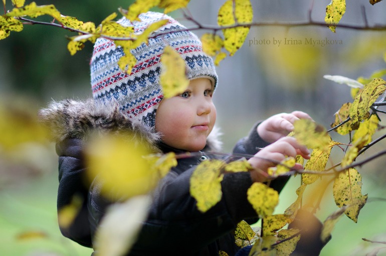 Поздняя осень.