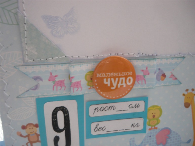 Мой 5 альбом)