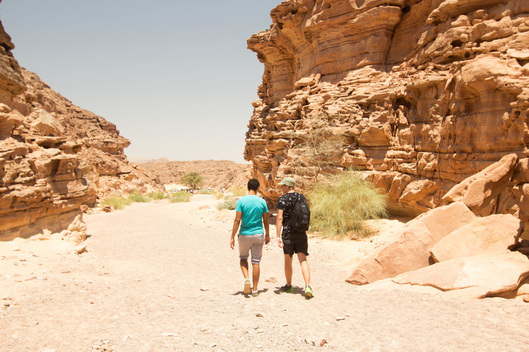 Египетская жара