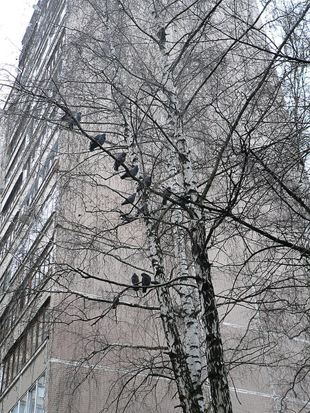 На прогулке (фото)