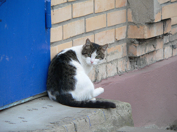 На прогулке (фото)