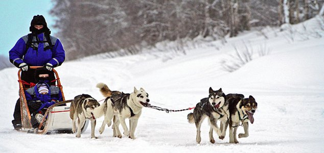 НГ праздники и Рождество в ФИНЛЯНДИИ. Отдых для всей семьи!