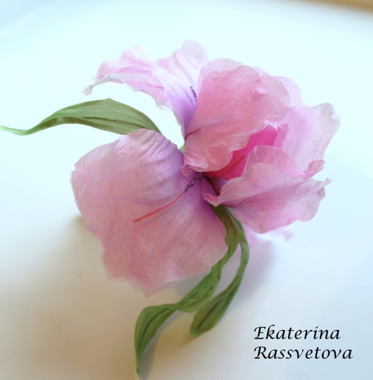 Шелковый Ирис