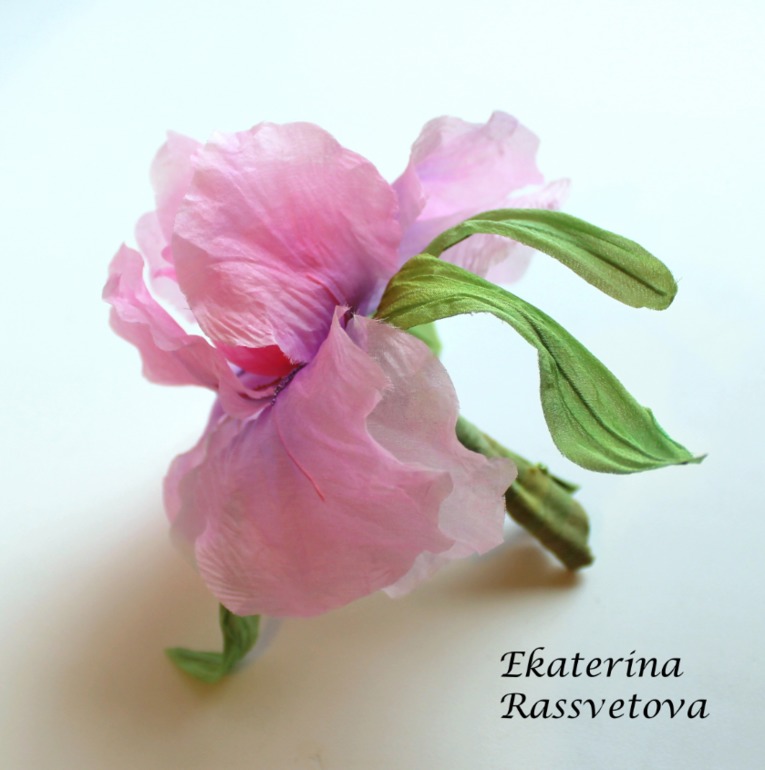 Шелковый Ирис