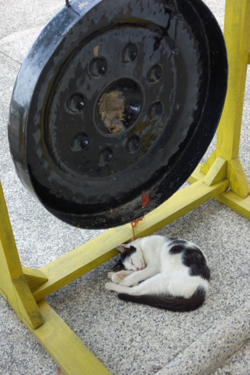 Москва-Бангкок-Пхукет-Самуи-Пхукет-Бангкок-Москва (много фото)