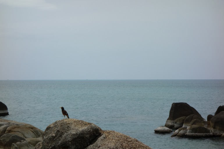 Москва-Бангкок-Пхукет-Самуи-Пхукет-Бангкок-Москва (много фото)