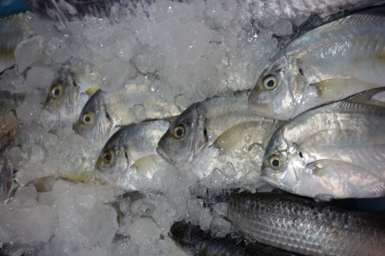 Москва-Бангкок-Пхукет-Самуи-Пхукет-Бангкок-Москва (много фото)