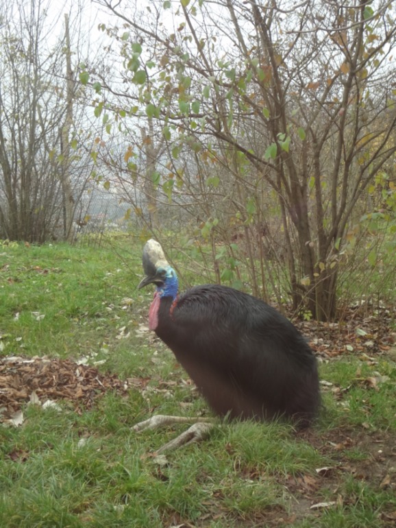 Отдых в Праге. День третий