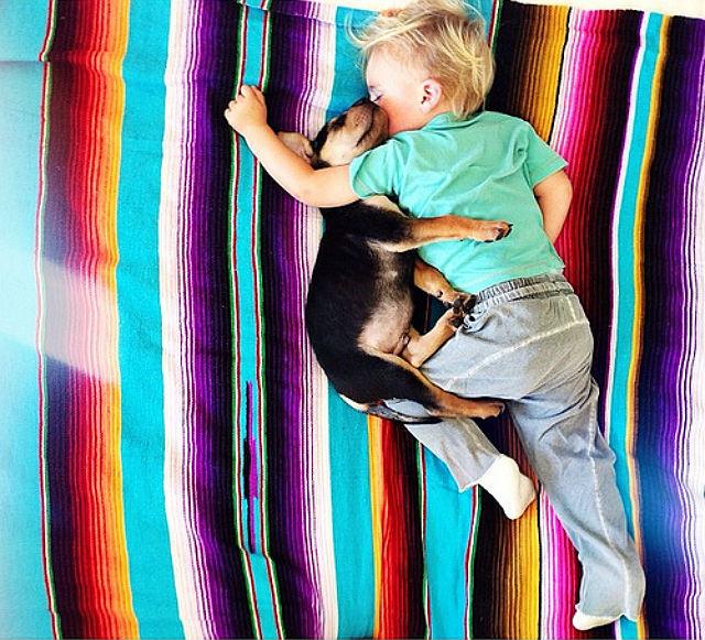 Щенячьи нежности