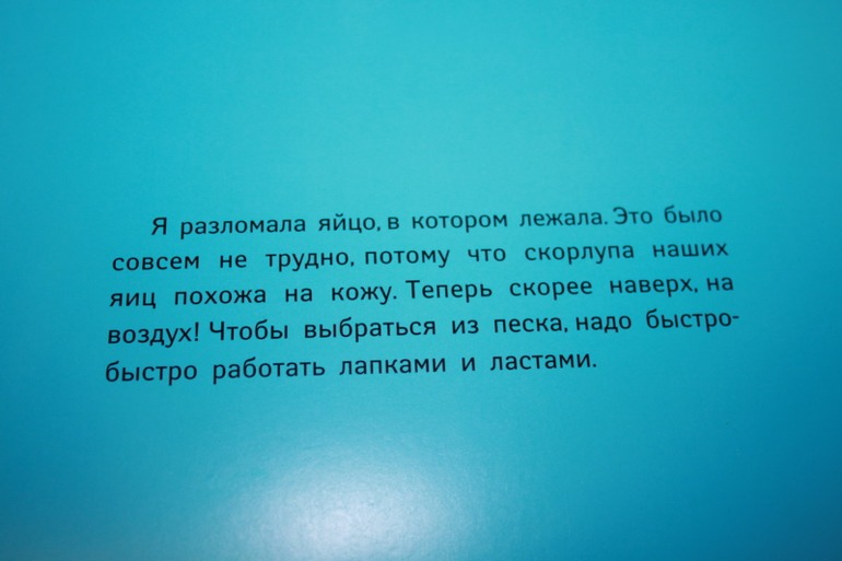 0eddc5eb5719c65e4fd917e7bc7ec9ca.jpg
