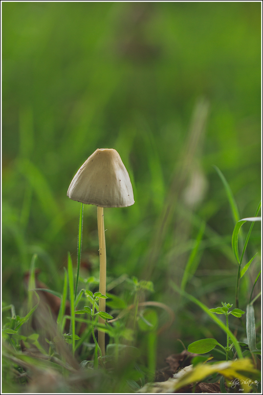 несколько фотографий