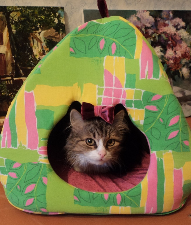 Кошкин дом!!!