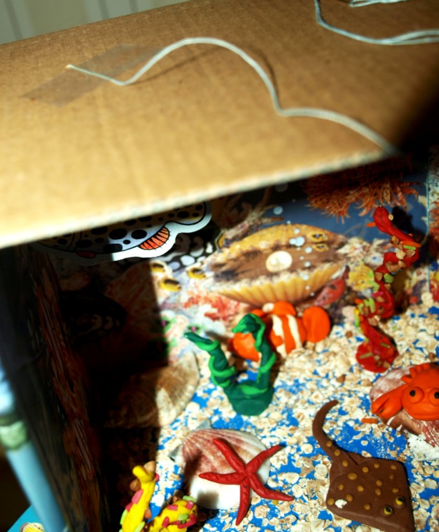 Подводный мир