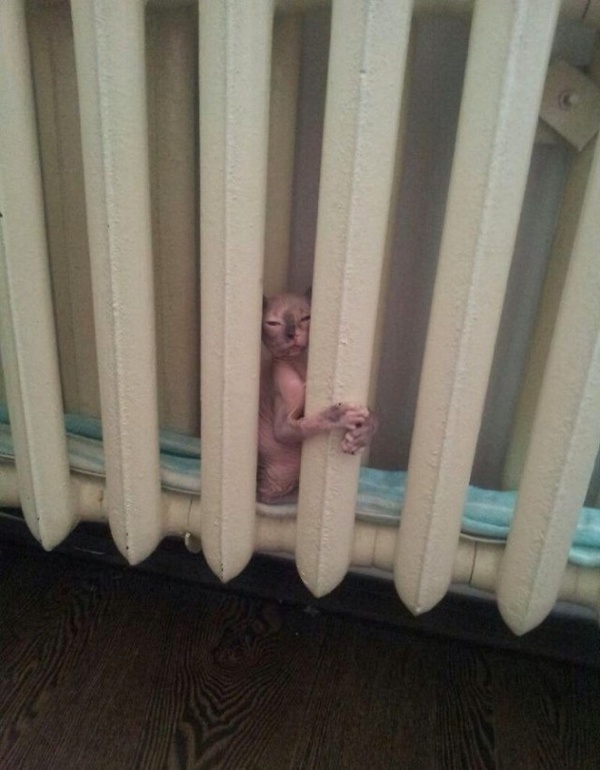 с первым днем зимы!