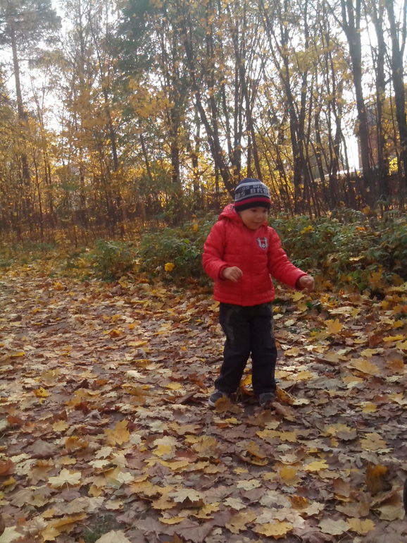 Письмо Феечке от Макара.