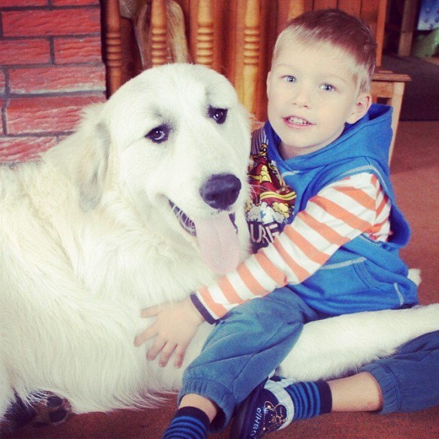 Решились....