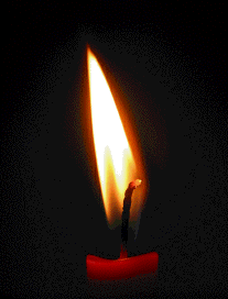 c92462d6c1e065381ed397408f7aba56.gif