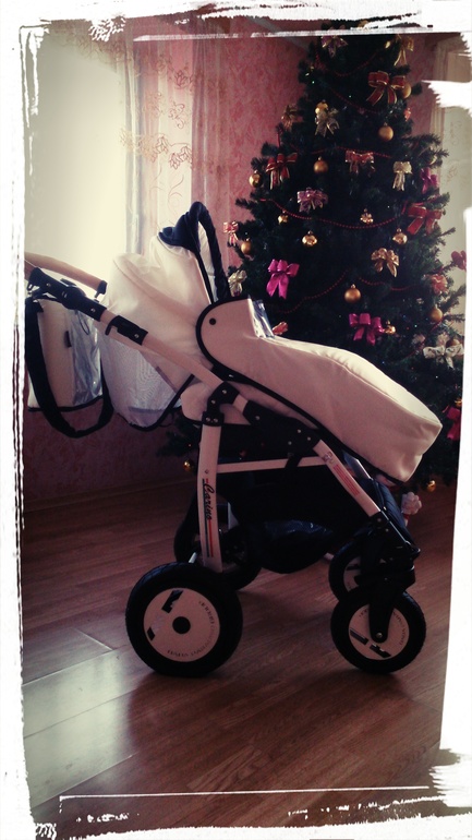 Наш транспорт DPG Carino 3в 1