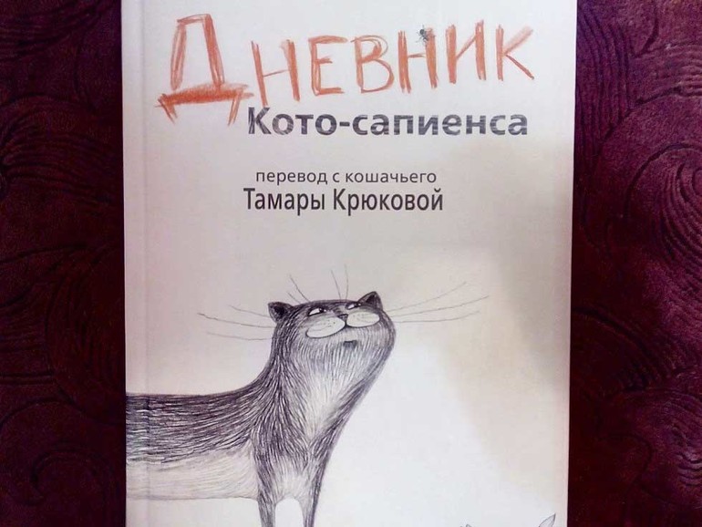 Дневник кота сапиенса картинки