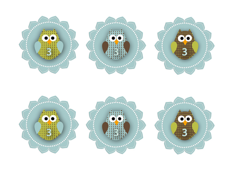 День рождения для маленькой любительницы сов.