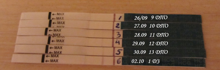 У НАС ПОЛУЧИЛОСЬ!!!