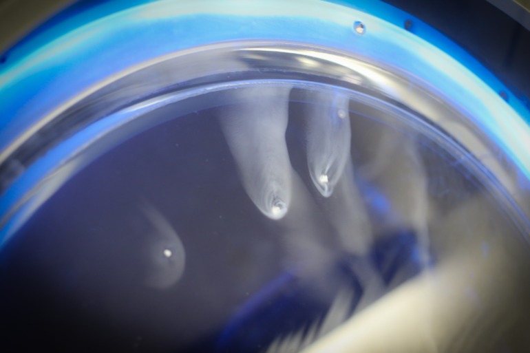 Планетарий в Москве